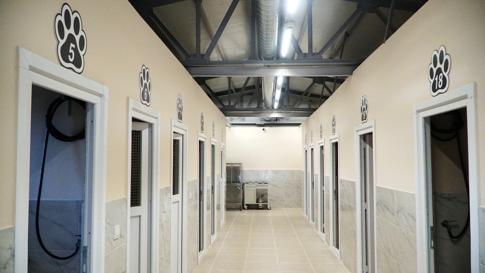 311025 Can Dostlar (1)