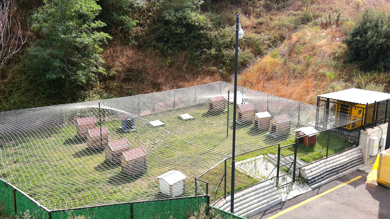 311025 Can Dostlar (4)