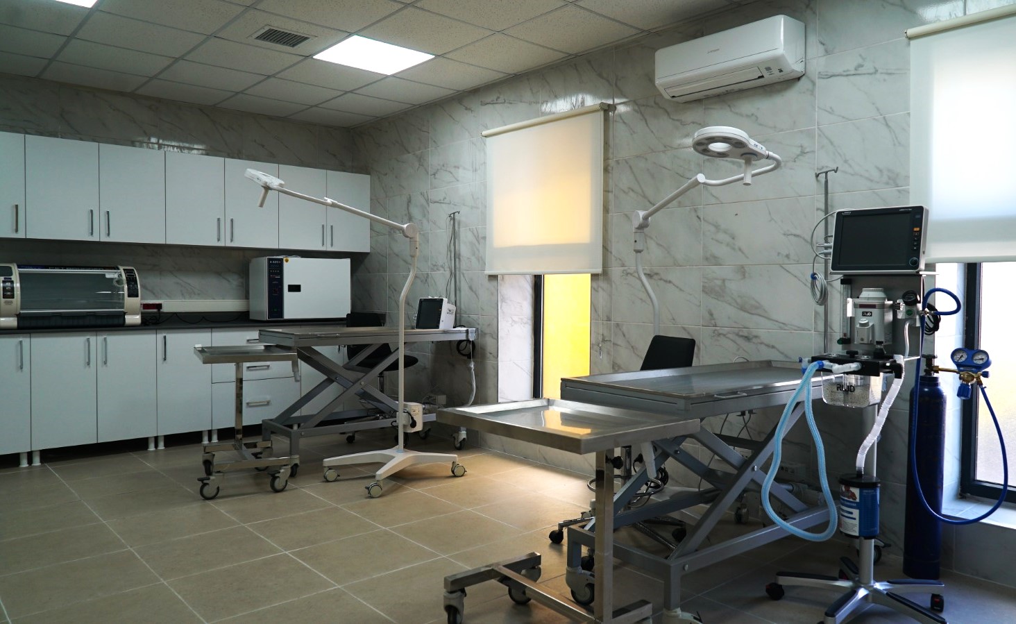 311025 Can Dostlar (8)