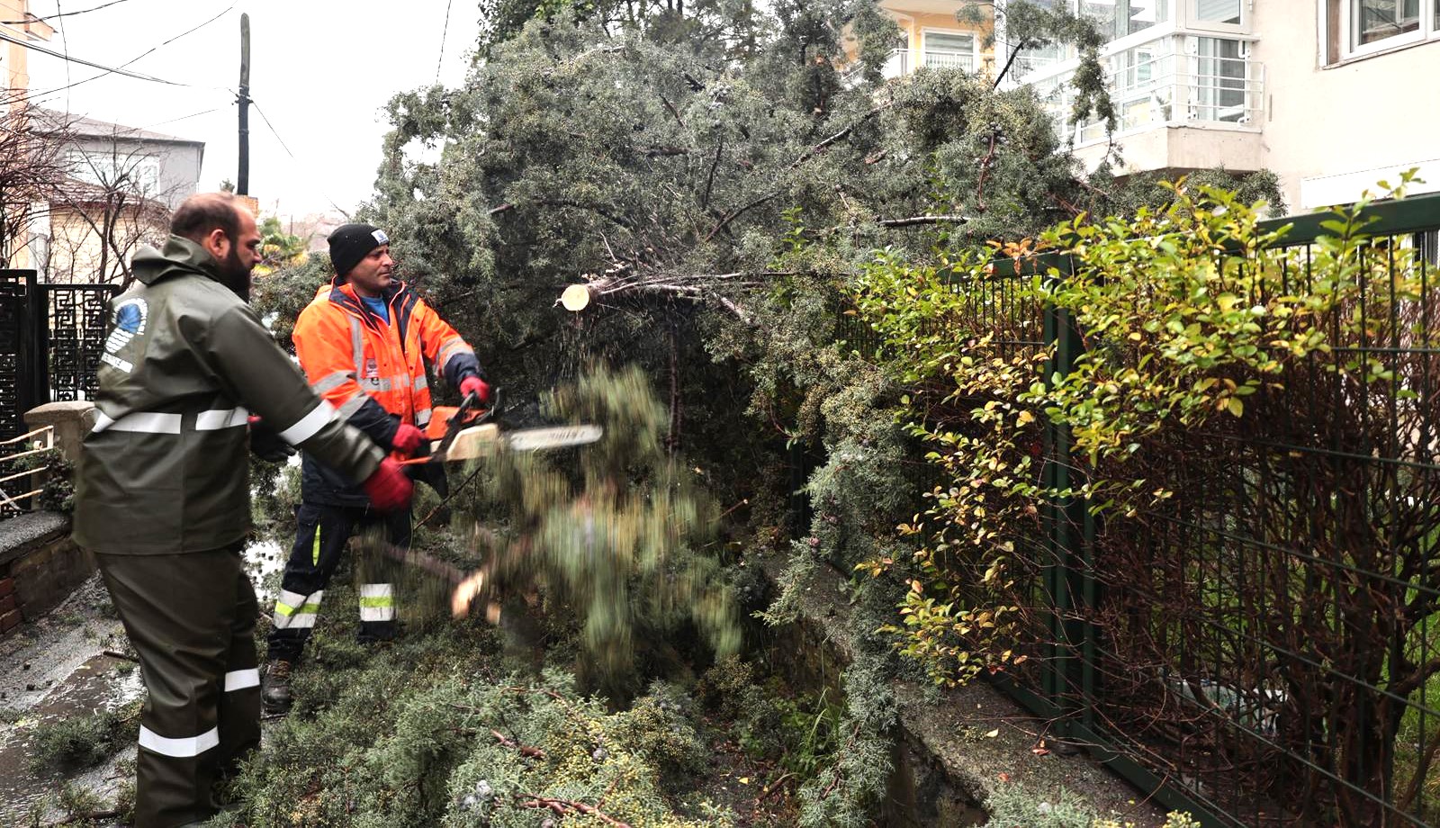 Whatsapp Image 2026 01 08 At 15.56.31