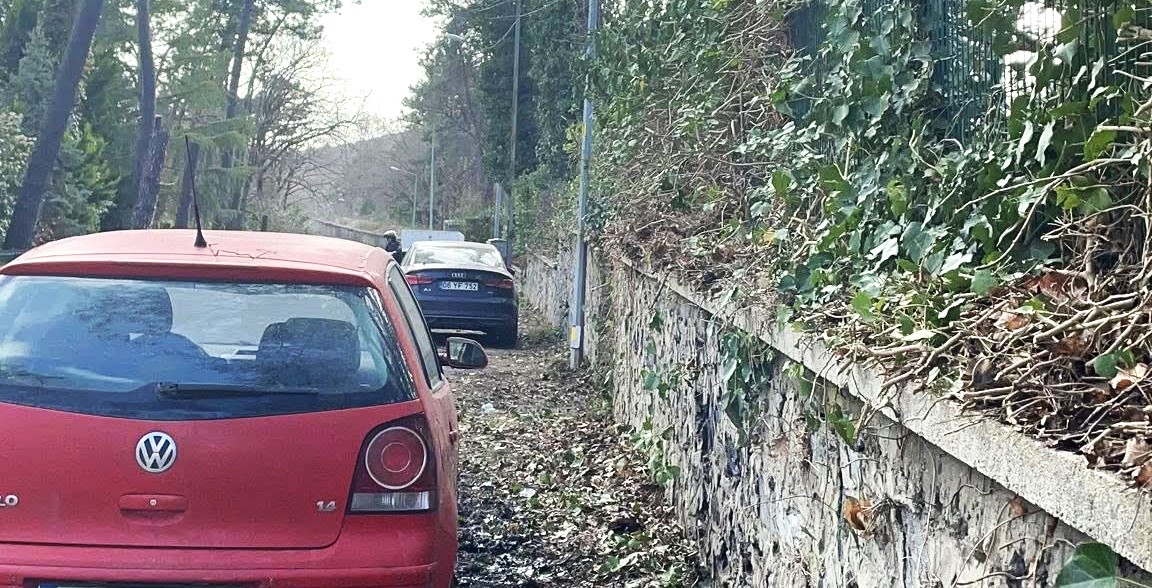 635498834 1199029489052546 1173122079846593137 N