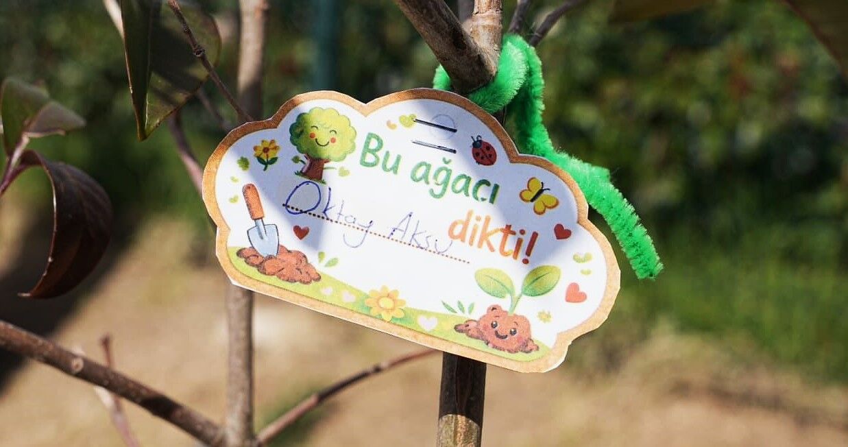 Whatsapp Image 2026 03 08 At 16.32.53