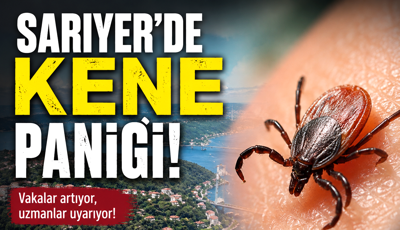 Sarıyer’de kene paniği: Mahalleli ilaçlama istiyor!