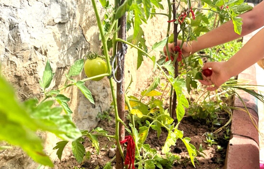 Basın Bülteni Fotoğraf 1