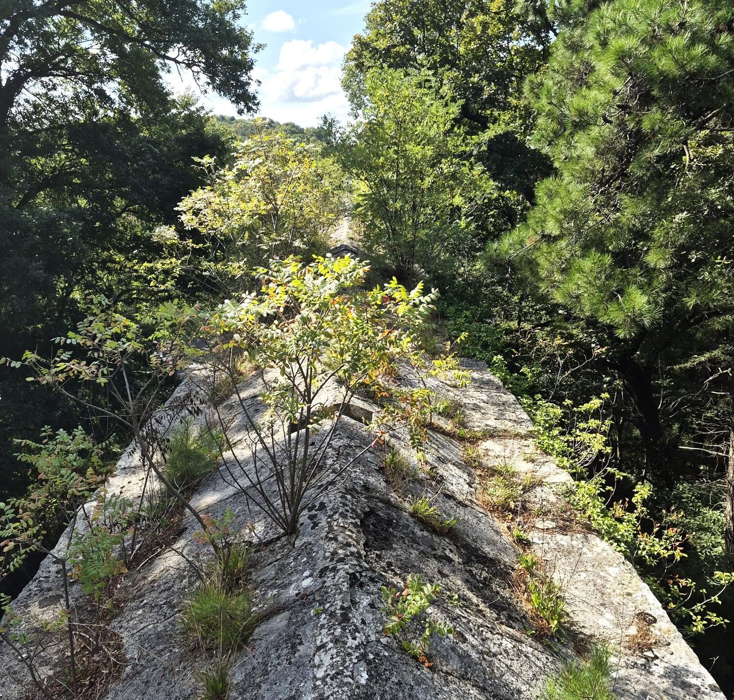 Su Kemeri